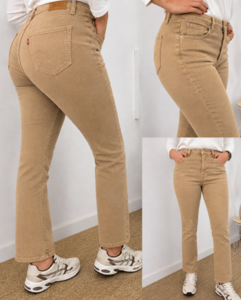 Jeans Pushup Rectos